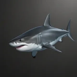 shark backgrounds