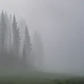 foggy background