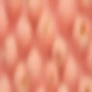 peach wallpaper aesthetic