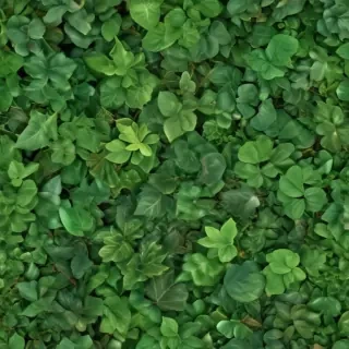 leaf background green