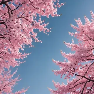 pretty wallpapers aesthetic