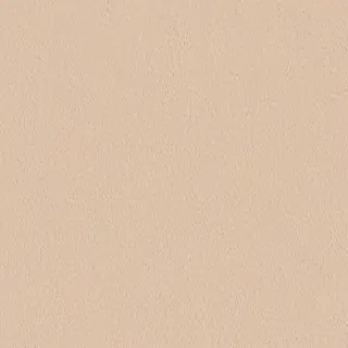 neutral phone wallpaper