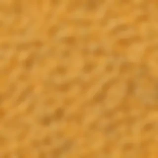 macaroni and cheese png