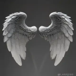 png angel wings