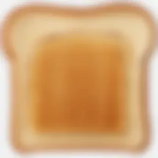 toast png