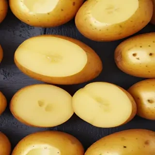 potato png