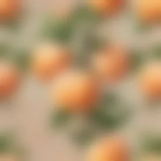 peach aesthetic wallpaper