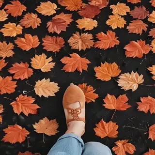 fall aesthetic wallpaper iphone