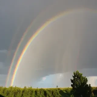double rainbow