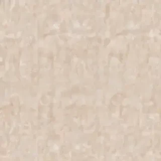 neutral computer background