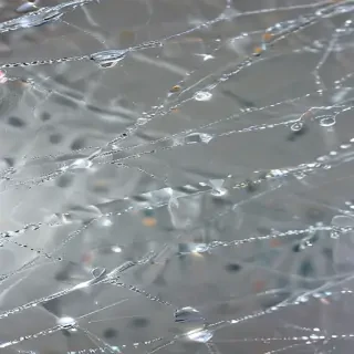 sparkling transparent