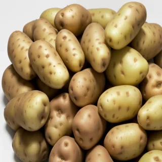 potato transparent background