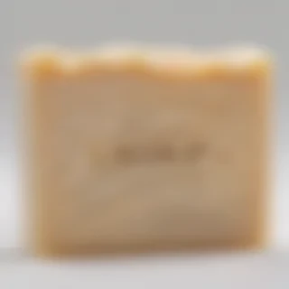 soap png