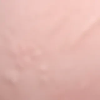 blush background