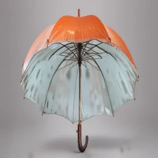 umbrella transparent background
