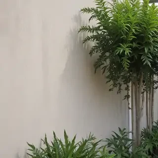 border aesthetic