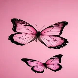 pink background butterfly