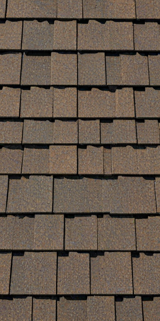 shingles images