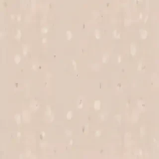 neutral aesthetic wallpaper