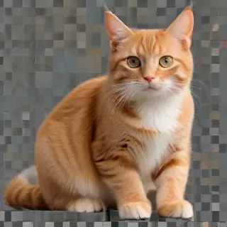 orange cat png