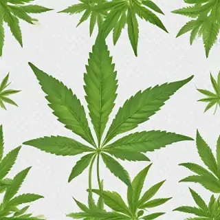 marijuana leaf transparent background