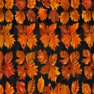 fall leaves png transparent