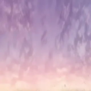 soft backgrounds