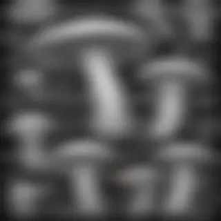 mushroom clipart black and white