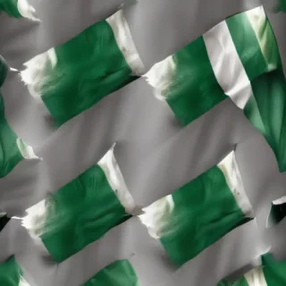 nigerian flag png
