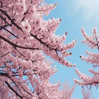 spring backgrounds aesthetic