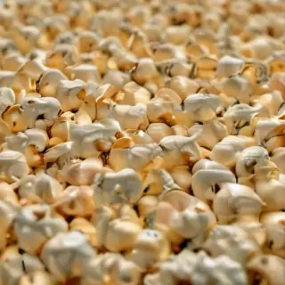 popcorn png