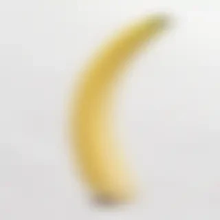 banana peel png