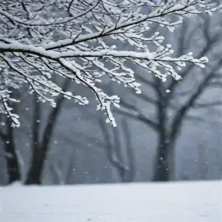 snow background iphone