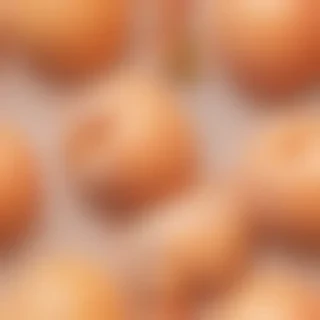 peach color bg