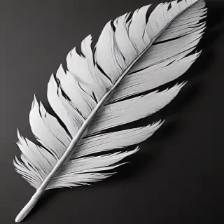 feather design