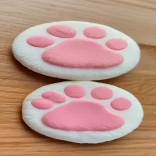 cat paw