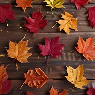 fall iphone wallpaper