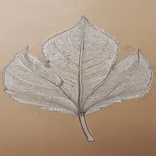 leaf doodle