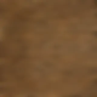 leopard print png