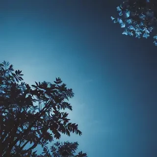 blue aesthetic wallpaper