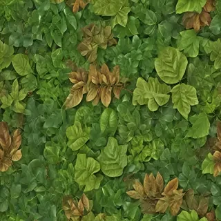leaf backgrounds