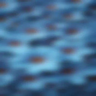 flower background blue