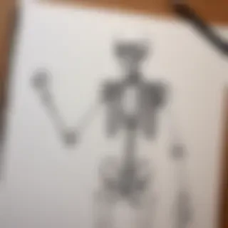creative skeleton drawings