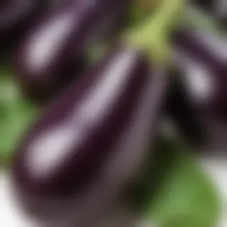 eggplant png