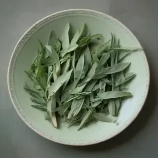 sage green images