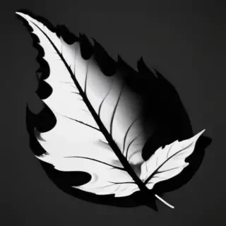 black and white clipart leaf
