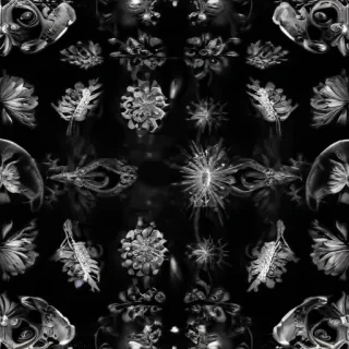 sparkling black background