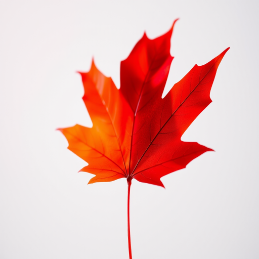 Create a vibrant polygonal representation of a maple leaf with varying shades of red, using a DSLR camera with a 50mm lens, aperture f/2.8, ISO 100, shutter speed 1/200s, in a brightly lit studio setting with a shallow depth of field.