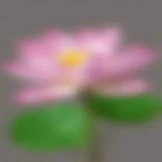 lotus flower png