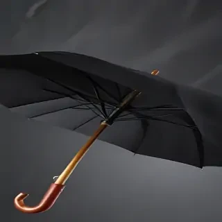 png umbrella